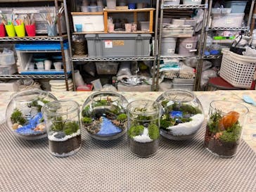 カルチャースクールいろはに投稿された画像（2022/10/22）