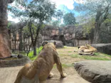 天王寺動物園に投稿された画像（2022/10/22）