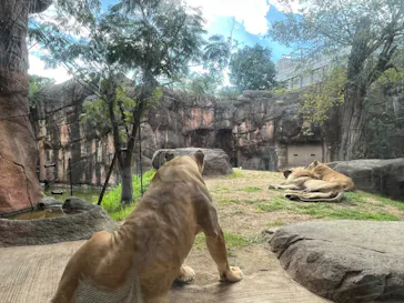 天王寺動物園に投稿された画像（2022/10/22）