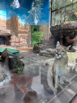 天王寺動物園に投稿された画像（2022/10/22）