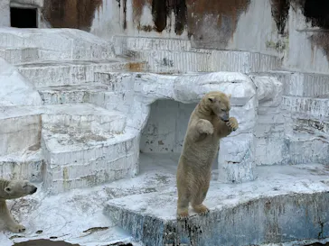 天王寺動物園に投稿された画像（2022/10/22）