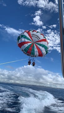 Sea World（シーワールド）に投稿された画像（2022/10/22）