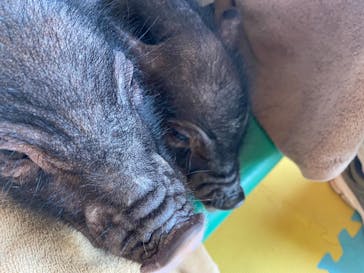 ワールド牧場に投稿された画像（2022/10/22）