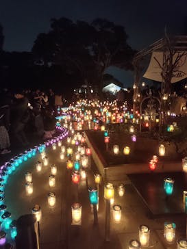 江の島シーキャンドルに投稿された画像（2022/10/22）