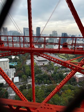東京タワーに投稿された画像（2022/10/22）