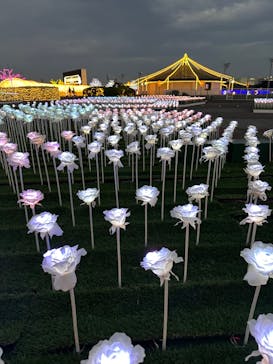 東京メガイルミに投稿された画像（2022/10/22）