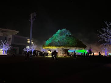 東京メガイルミに投稿された画像（2022/10/22）