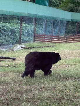 群馬サファリパークに投稿された画像（2022/10/22）