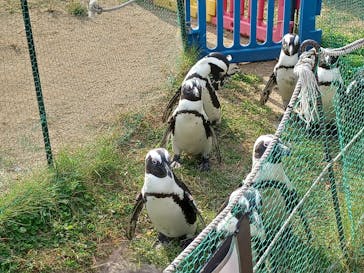 名古屋港水族館に投稿された画像（2022/10/22）