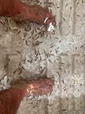 有馬温泉 太閤の湯に投稿された画像（2022/10/22）