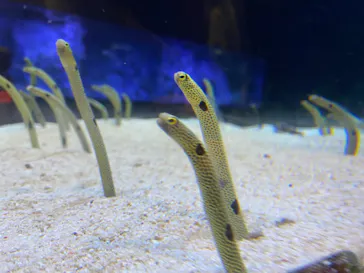 すみだ水族館に投稿された画像（2022/10/22）