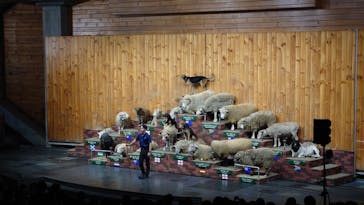 マザー牧場に投稿された画像（2022/10/22）