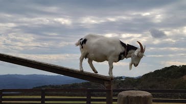 マザー牧場に投稿された画像（2022/10/22）