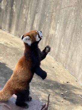 九十九島動植物園森きららに投稿された画像（2022/10/22）