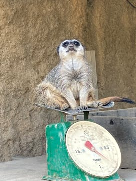 九十九島動植物園森きららに投稿された画像（2022/10/22）