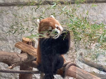 九十九島動植物園森きららに投稿された画像（2022/10/22）