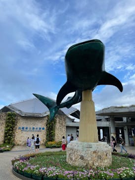 沖縄美ら海水族館に投稿された画像（2022/10/22）