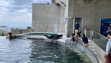 城崎マリンワールドに投稿された画像（2022/10/22）