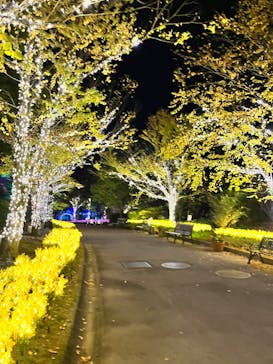 大阪府立花の文化園に投稿された画像（2022/10/22）