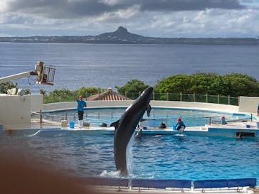 沖縄美ら海水族館に投稿された画像（2022/10/22）