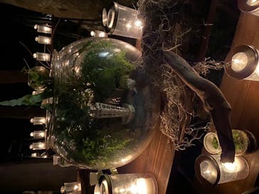 江の島シーキャンドルに投稿された画像（2022/10/22）