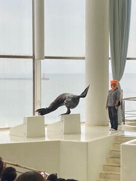 アクアワールド茨城県大洗水族館に投稿された画像（2022/10/22）