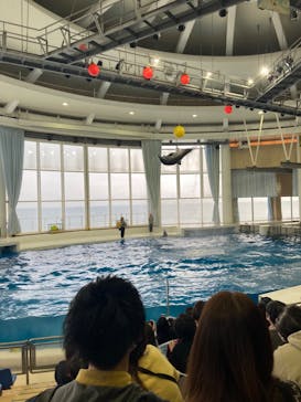 アクアワールド茨城県大洗水族館に投稿された画像（2022/10/22）
