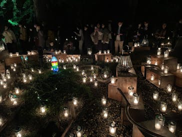 江の島シーキャンドルに投稿された画像（2022/10/22）