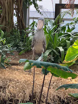 神戸どうぶつ王国に投稿された画像（2022/10/22）