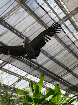 神戸どうぶつ王国に投稿された画像（2022/10/22）