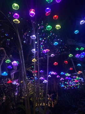 大阪府立花の文化園に投稿された画像（2022/10/22）