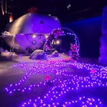 新江ノ島水族館に投稿された画像（2022/10/23）