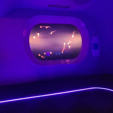 新江ノ島水族館に投稿された画像（2022/10/22）