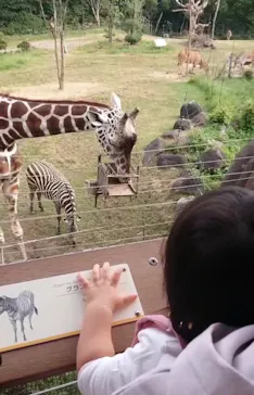 天王寺動物園に投稿された画像（2022/10/22）