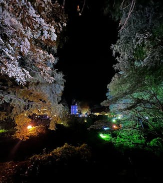 ムーミンバレーパークに投稿された画像（2022/10/22）