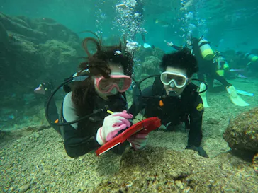 武藤潜水に投稿された画像（2022/10/23）