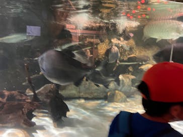 しながわ水族館に投稿された画像（2022/10/23）