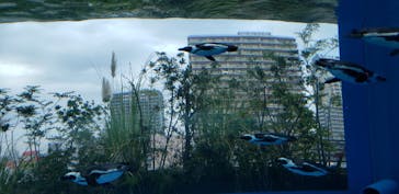 サンシャイン水族館に投稿された画像（2022/10/23）