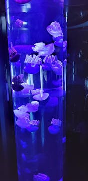 サンシャイン水族館に投稿された画像（2022/10/23）