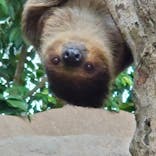 神戸どうぶつ王国に投稿された画像（2022/10/23）