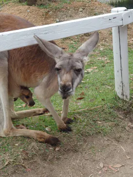 神戸どうぶつ王国に投稿された画像（2022/10/23）