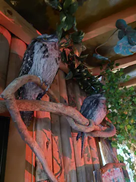 神戸どうぶつ王国に投稿された画像（2022/10/23）