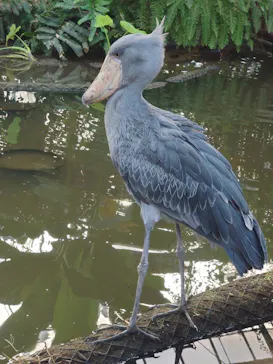 神戸どうぶつ王国に投稿された画像（2022/10/23）