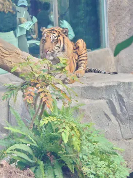 神戸どうぶつ王国に投稿された画像（2022/10/23）