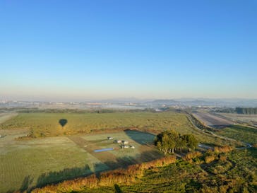 ウイニングバルーンクラブに投稿された画像（2022/10/23）