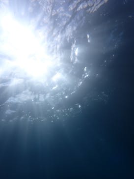 屋久島ガイドクラブに投稿された画像（2022/10/23）