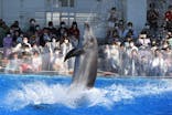 九十九島水族館海きららに投稿された画像（2022/10/23）