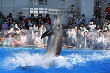 九十九島水族館海きららに投稿された画像（2022/10/23）