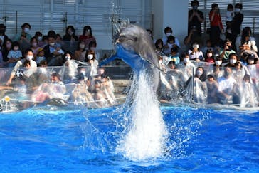 九十九島水族館海きららに投稿された画像（2022/10/23）