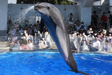 九十九島水族館海きららに投稿された画像（2022/10/23）